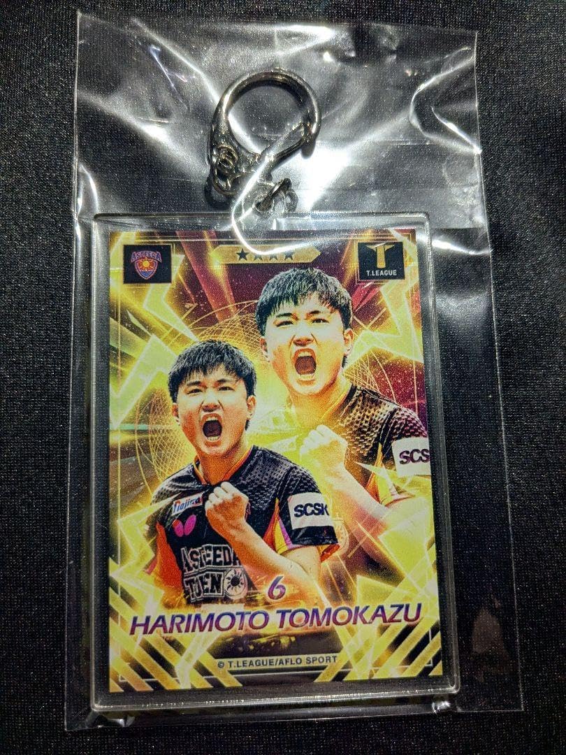 90s Vintage オードリー・ヘプバーン 霜降りグレー コットン Tシャツ 90s Vintage オードリー・ヘプバーン 霜降りグレー コットン Tシャツ